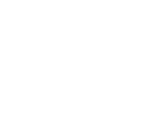 onegin-i-pechorin.ru